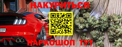 трава Сланцы